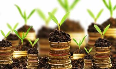 推动产业升级 海南鼓励农产品加工企业兼并重组优化投资管理